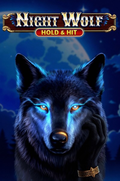 Night Wolf - Hold & Hit Slot bei Casinova Casino